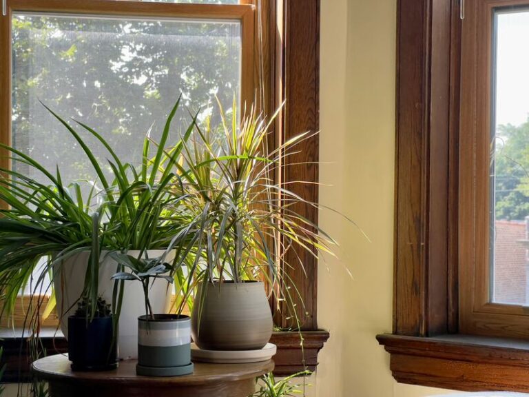 How to Improve Humidity in the Home
